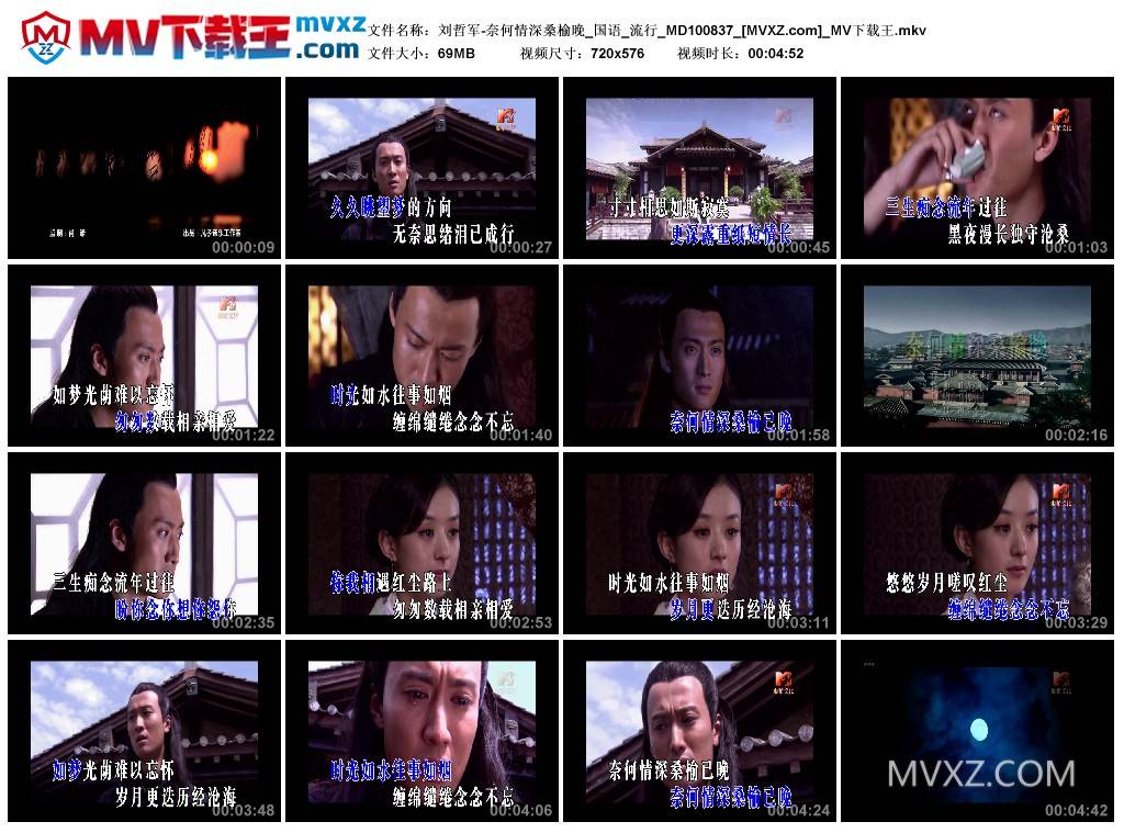 刘哲军-奈何情深桑榆晚_国语_流行_MD100837